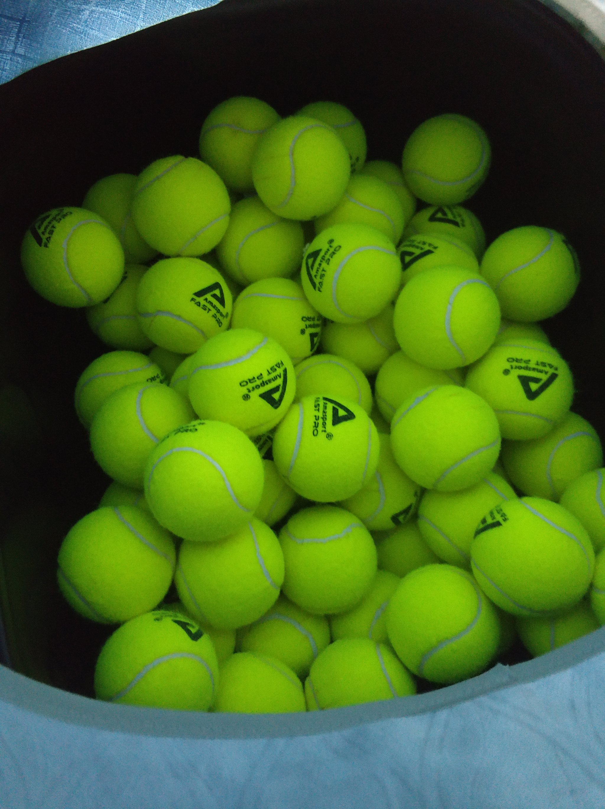 会的国际知 会的国际知