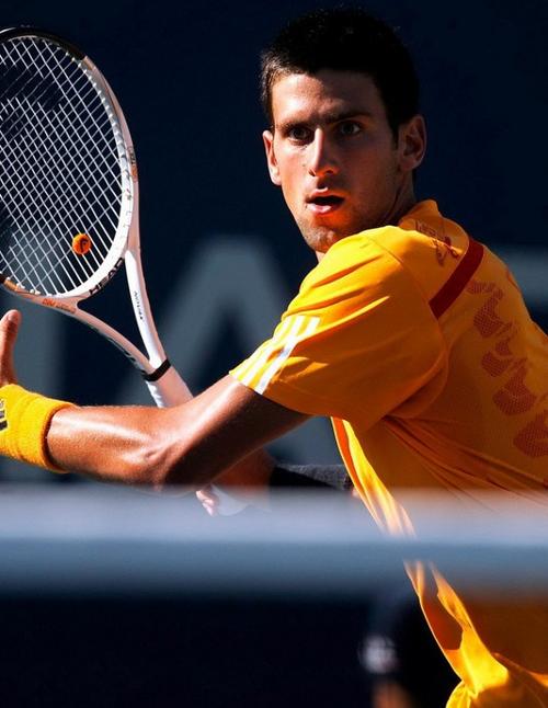 日本职棒更 日本职棒更